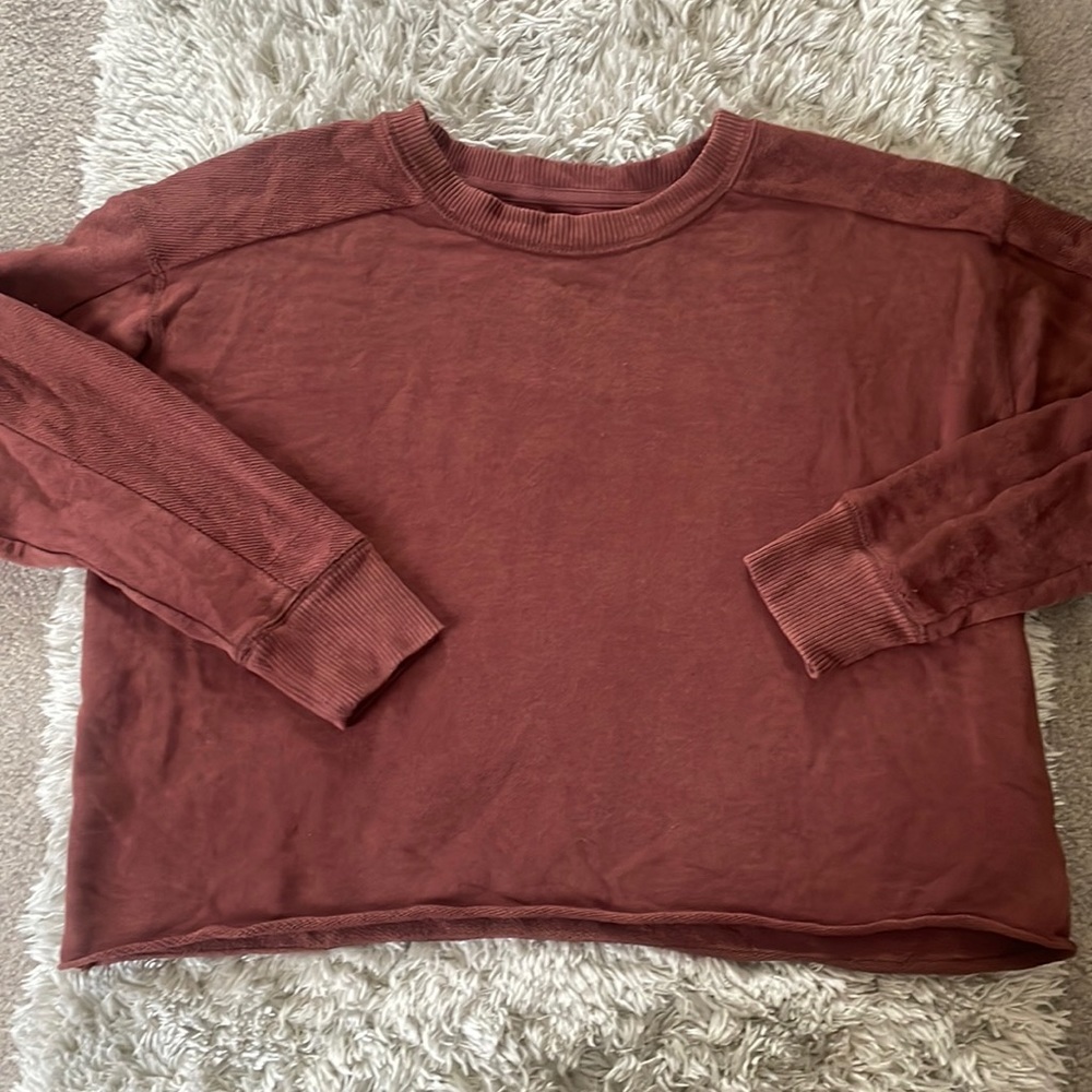 Aerie brand size Small rust colored cropped sweatshirt